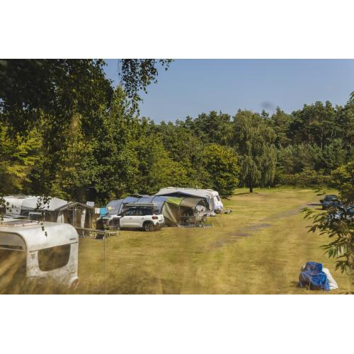 Comfort kampeerplaats - Huisdiervrij