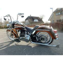 Harley-davidson mexican special