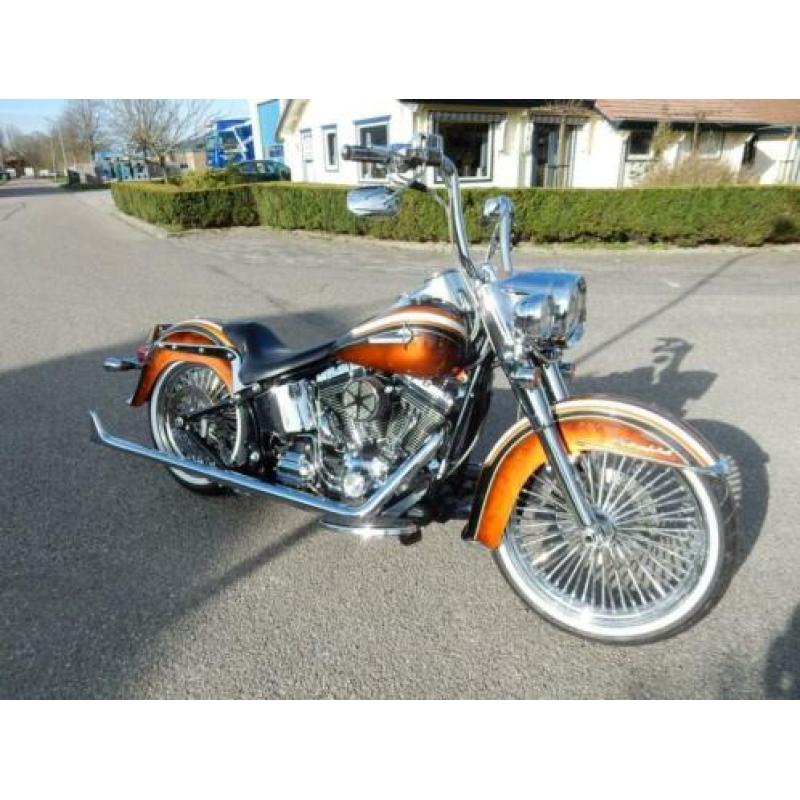 Harley-davidson mexican special