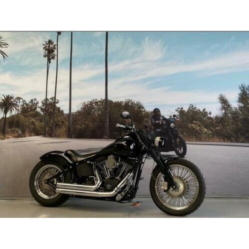 Harley-Davidson Night Train Dyna FXSTB 96'' 1585