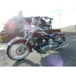 Harley-davidson mexican special