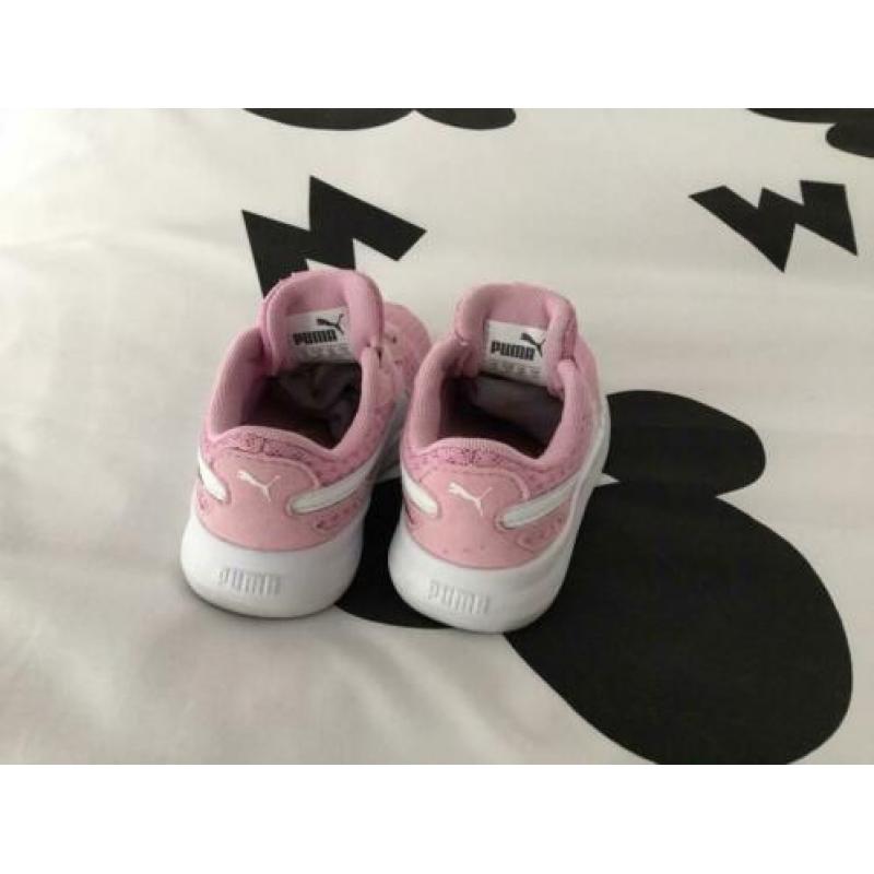 Roze puma