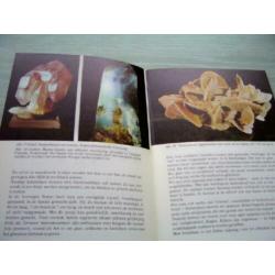 Micro – Mineralen. Verzamelen en Prepareren. Door: A. Kipfer