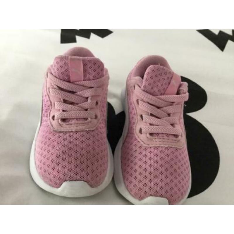 Roze puma