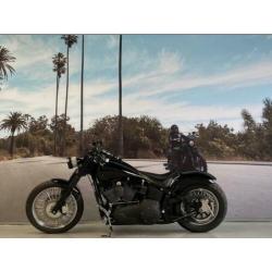 Harley-Davidson Night Train Dyna FXSTB 96'' 1585