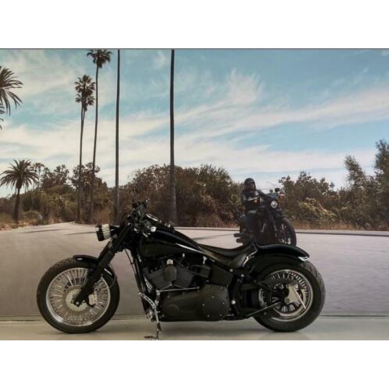Harley-Davidson Night Train Dyna FXSTB 96'' 1585