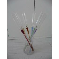 6 champagne glazen - fiesta - living collection