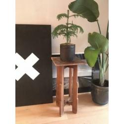Bijzettafel hoog tafeltje plant kruk
