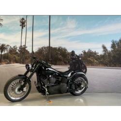 Harley-Davidson Night Train Dyna FXSTB 96'' 1585