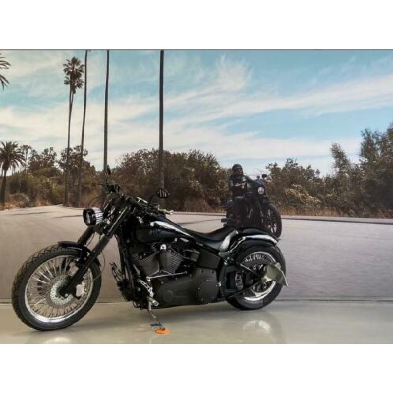 Harley-Davidson Night Train Dyna FXSTB 96'' 1585