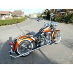 Harley-davidson mexican special