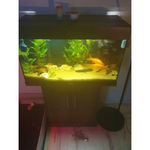 Aquarium met toebehoren 2 poppen
