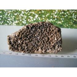Stuk Borstel Calciet.208