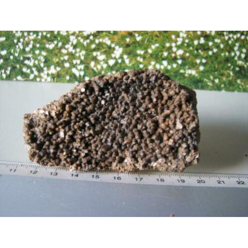 Stuk Borstel Calciet.208