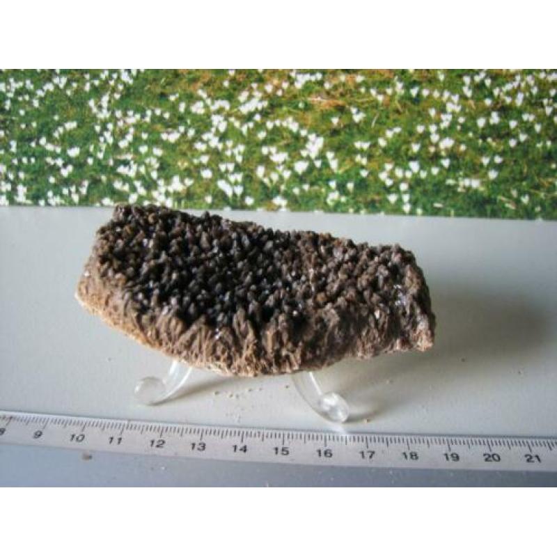 Stuk Borstel Calciet.208