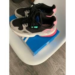 Adidas falcon