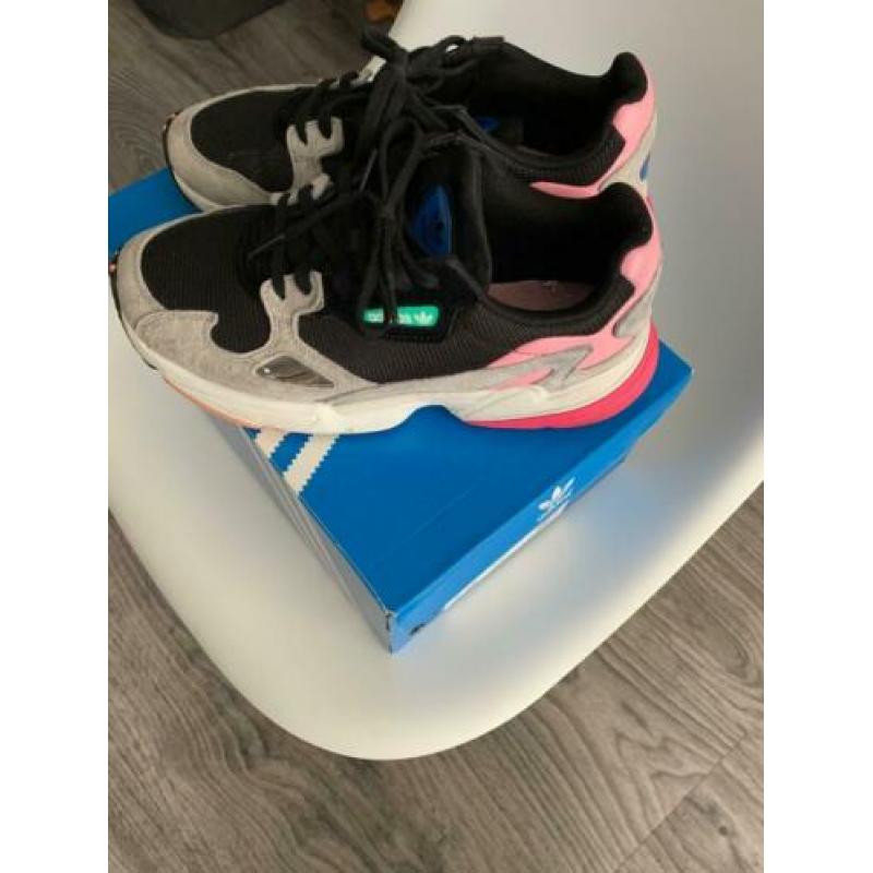 Adidas falcon