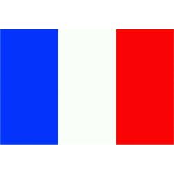 Auvergne vlag 90 x 150 cm