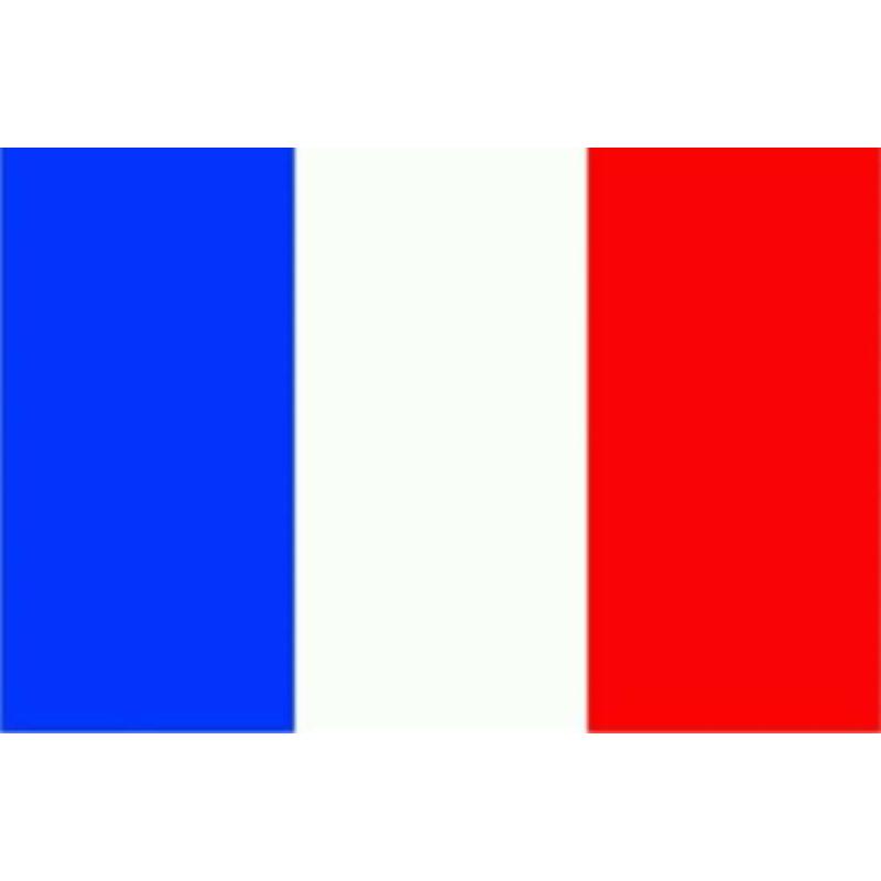 Auvergne vlag 90 x 150 cm