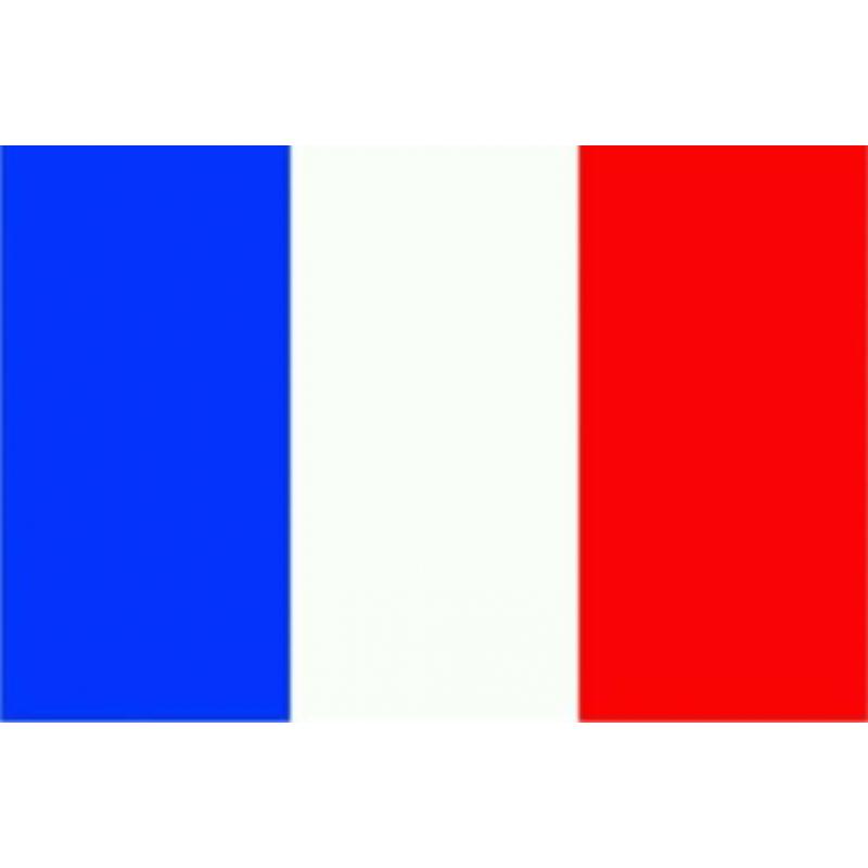 Auvergne vlag 90 x 150 cm