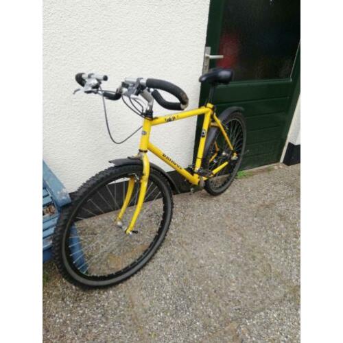 Batavus Mountainbike