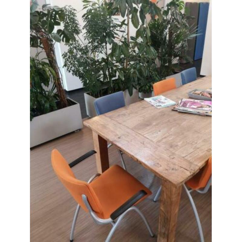 Mooie, stevige stoelen!
