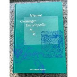 Nieuwe Groninger encyclopedie (3 delen)
