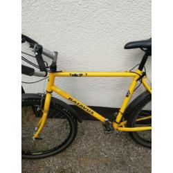 Batavus Mountainbike
