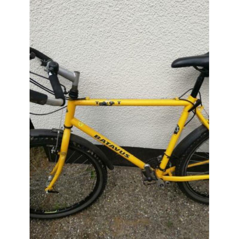 Batavus Mountainbike