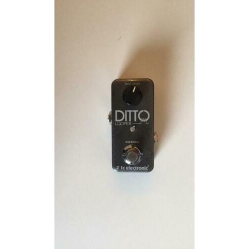 TC Electronics Ditto Looper