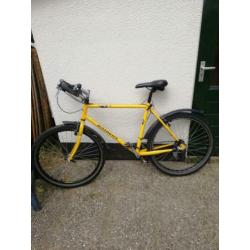Batavus Mountainbike