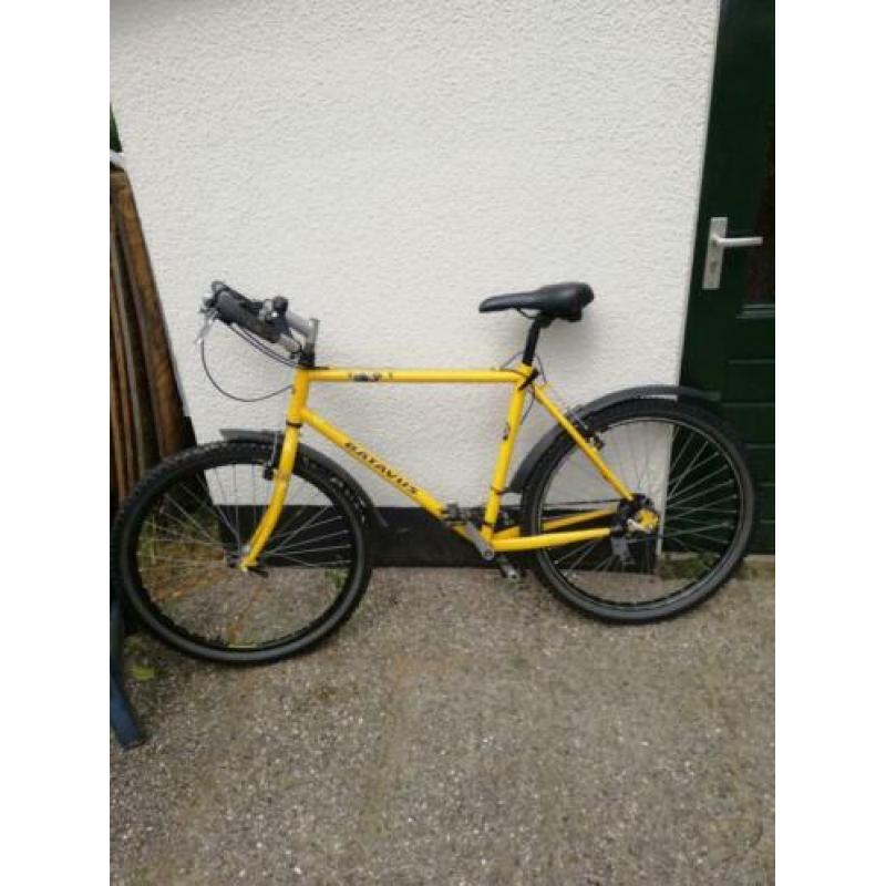 Batavus Mountainbike