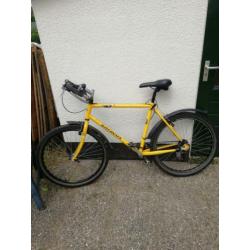Batavus Mountainbike