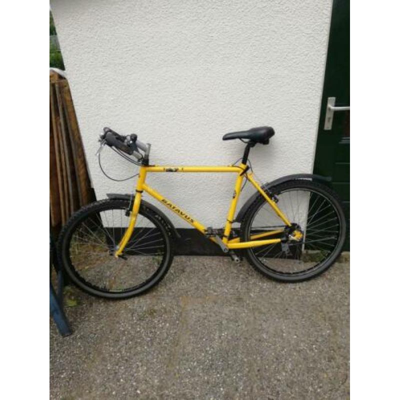 Batavus Mountainbike