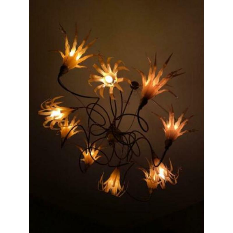 Prachtige kroonluchter hanglamp met tien armen