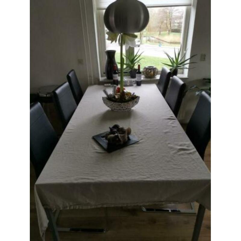 Aluminium Eetkamer met 6 leren stoelen