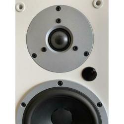 Dynaudio Xeo 5