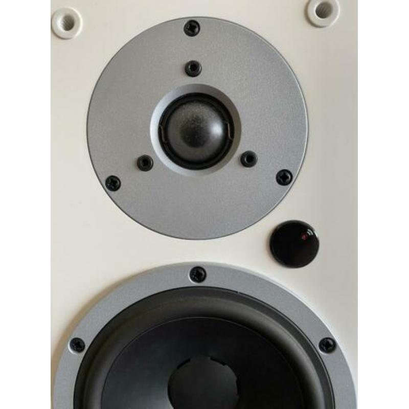 Dynaudio Xeo 5