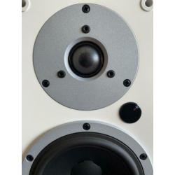 Dynaudio Xeo 5