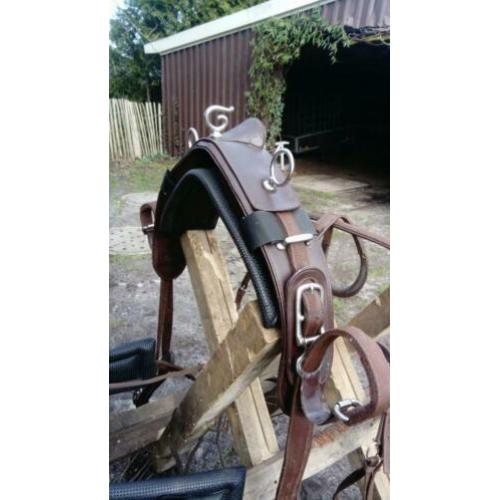 Zgan bruin paarden enkelspan tuig Mt cob