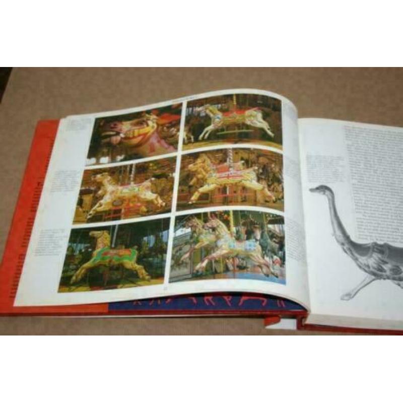 Boek - Fairground Art - Over antieke kermisattracties !!