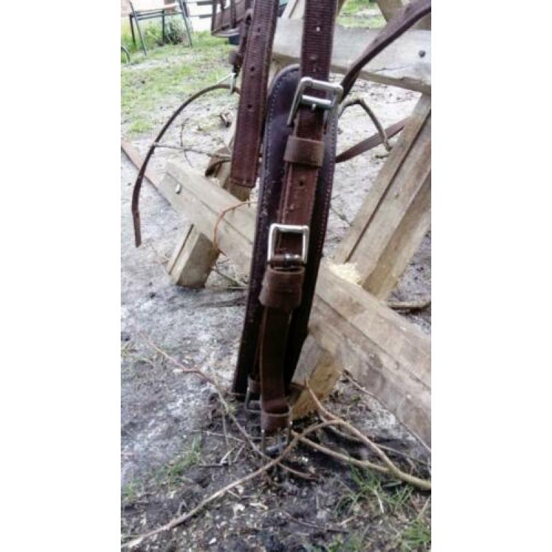 Zgan bruin paarden enkelspan tuig Mt cob