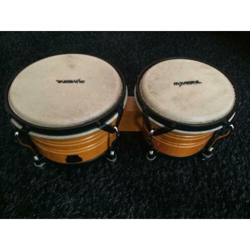 Bongo's - MEINL MARATHON