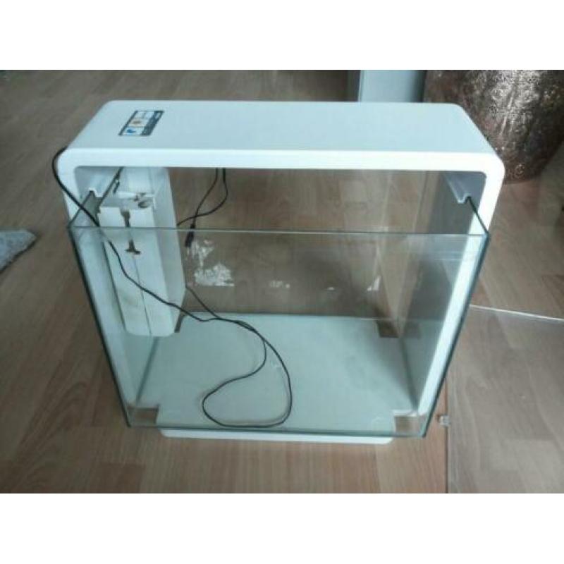 Aquarium superfish te koop