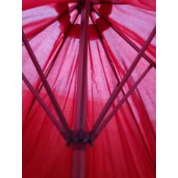 Parasol