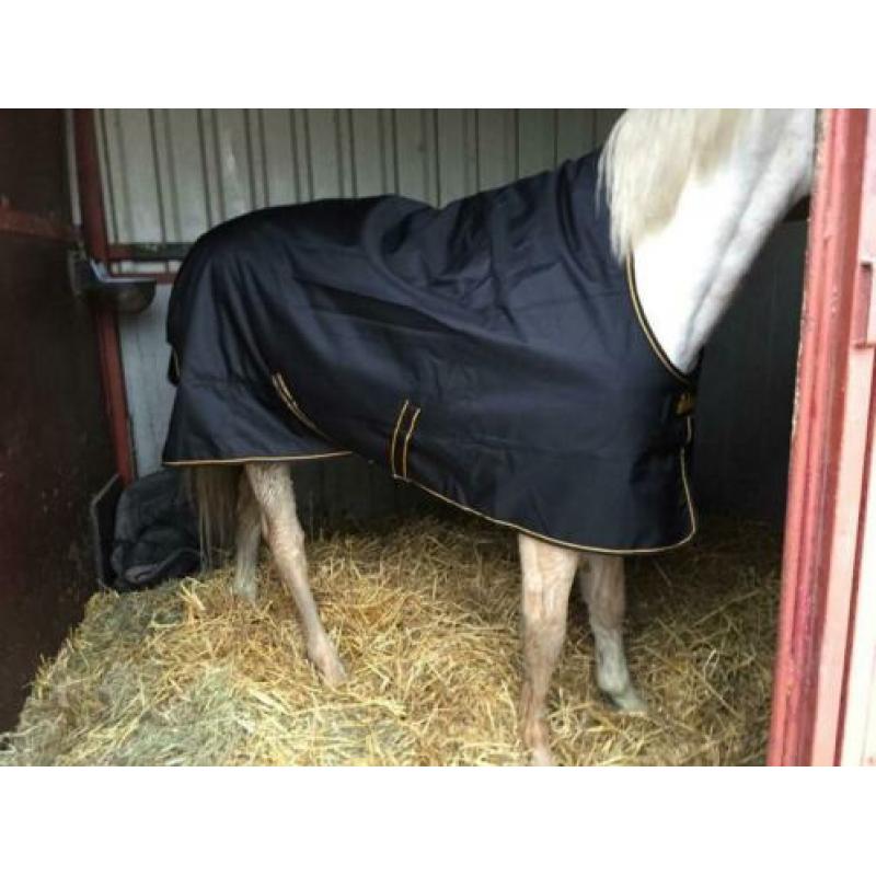 Bucas Irish Turnout Extra High Neck deken 183/135