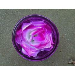 Glas - paars - voor bloem of kaarsje