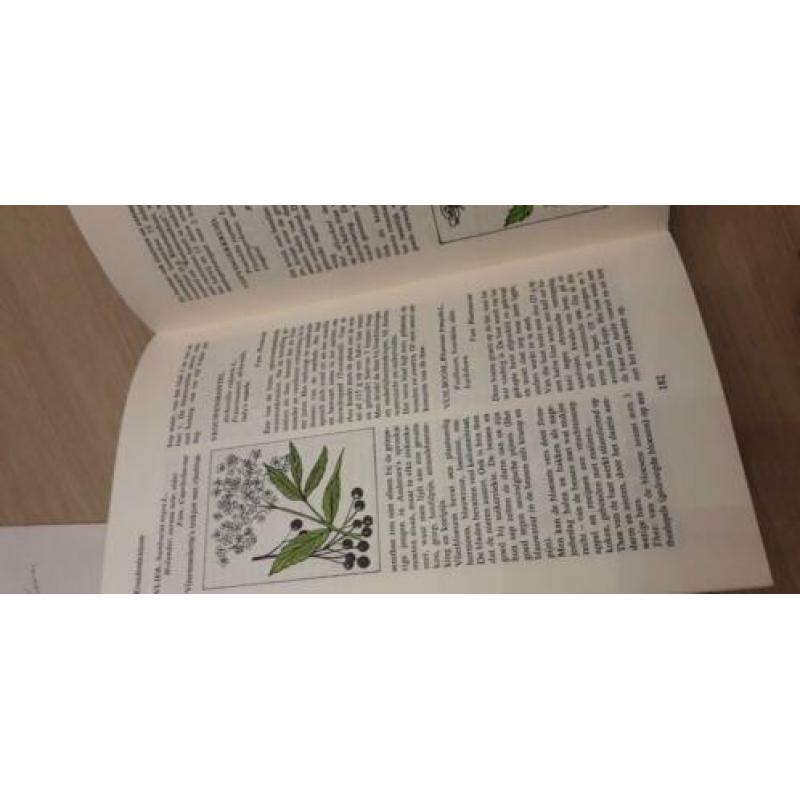 mellie uyldert Lexicon der geneeskruiden