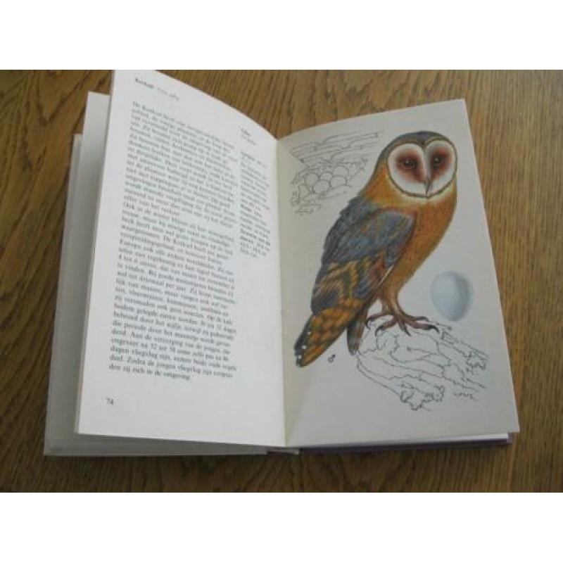 vogels 2x