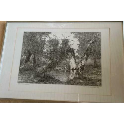 Jos Hameleers creighton Hutschemakers moulingen